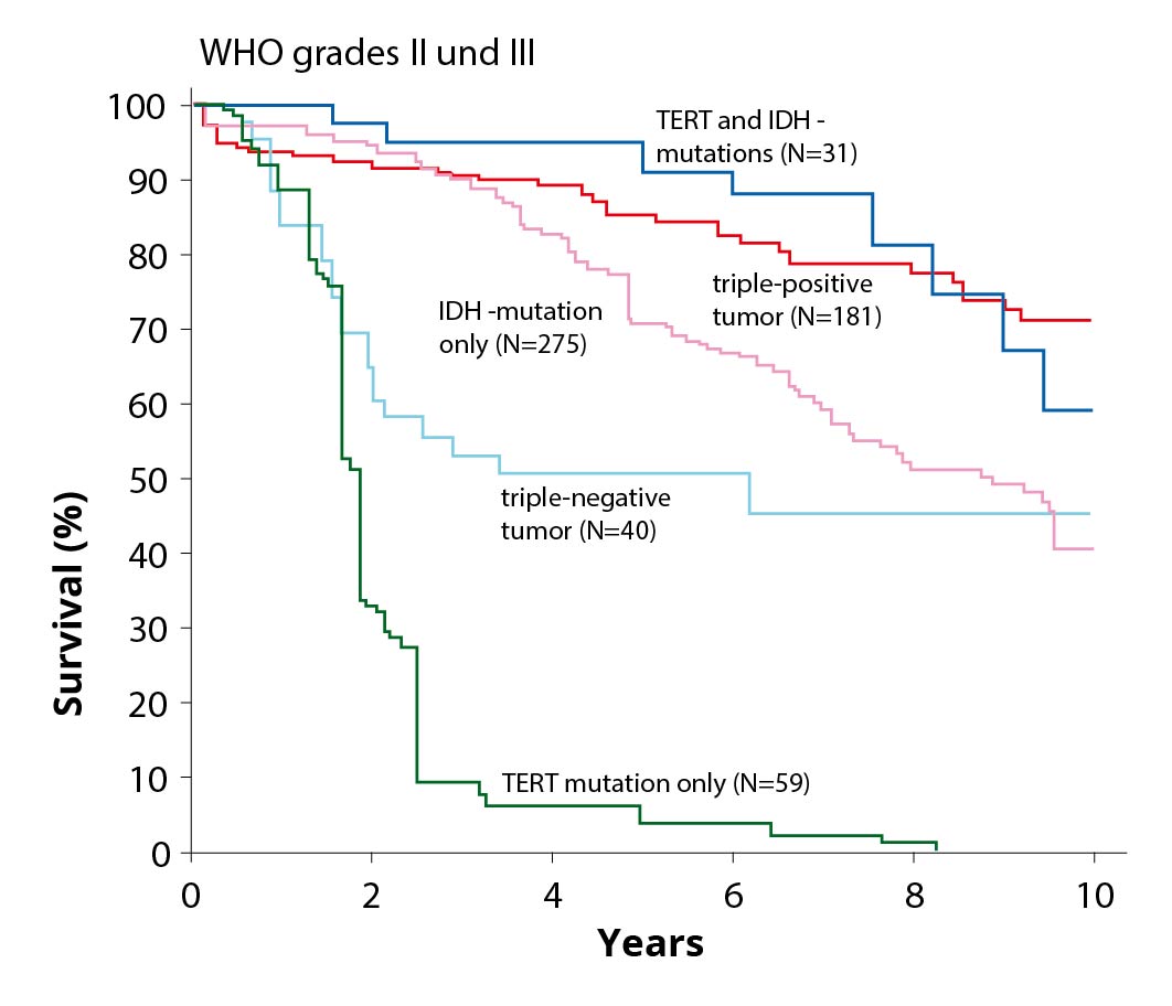 Graph showing 5 color curves of overall survival in diffuse astrocytoma with and without IDH mutations.