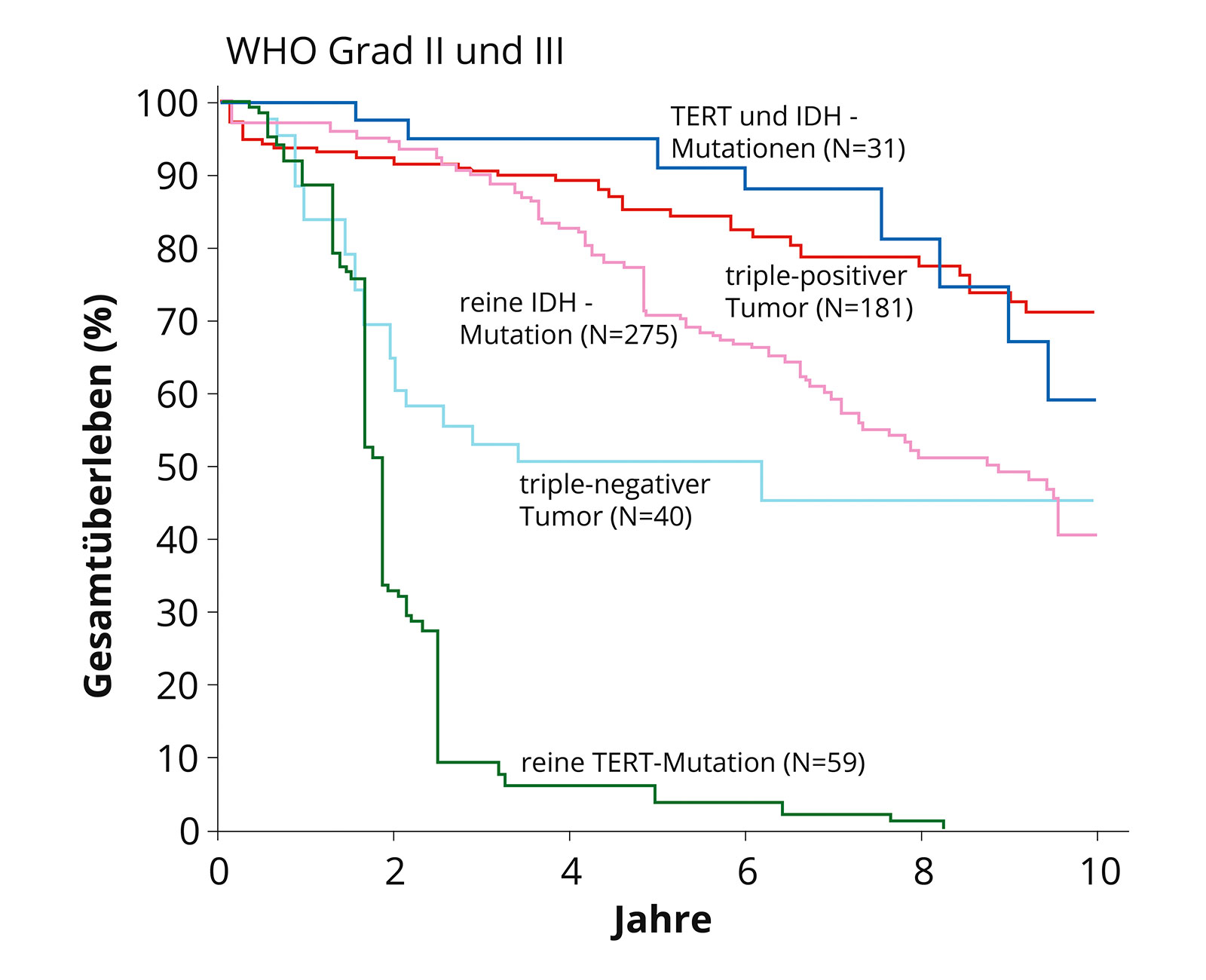 Graphik mit 5 Farbkurven zur Gesamtüberlebenszeit bei diffusem Astrozytom mit und ohne IDH-Mutationen