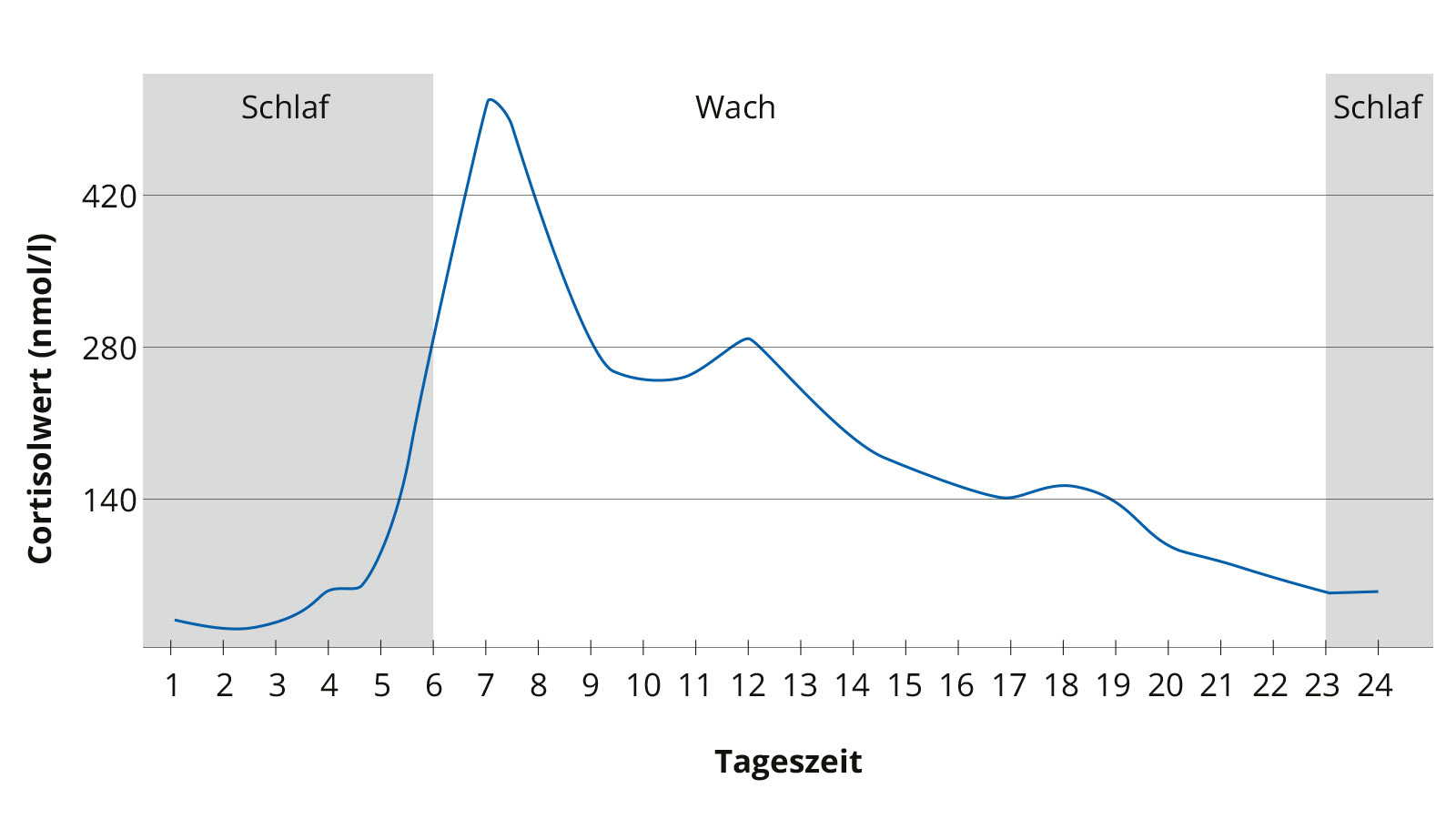 Kurve zu den Tagesschwankungen des Cortisolspiegels