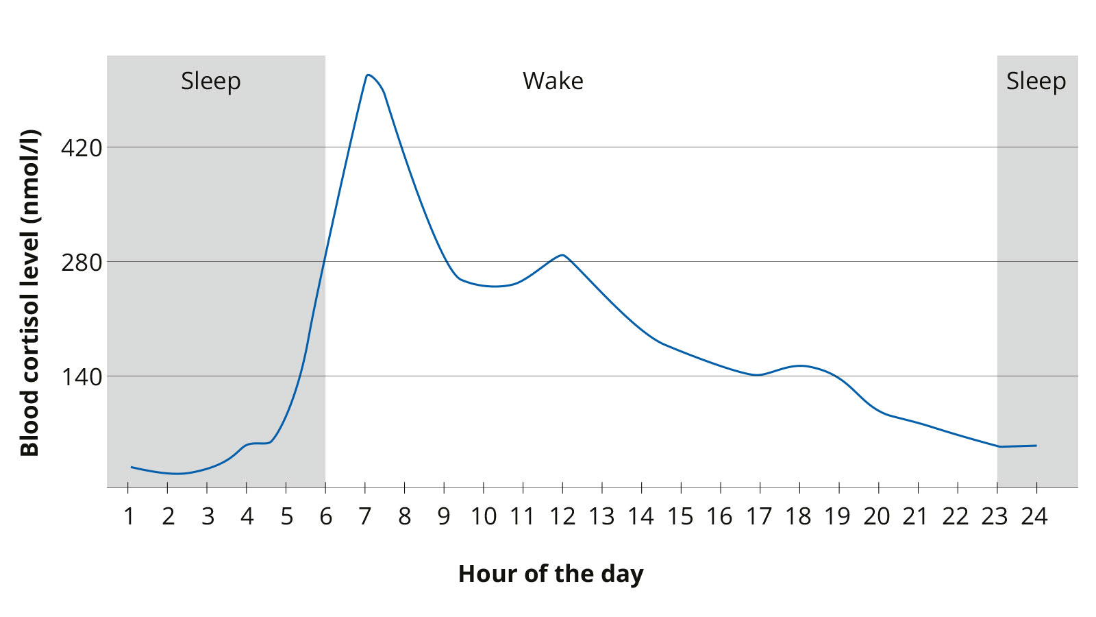 Graph showing daily fluctuations in cortisol levels