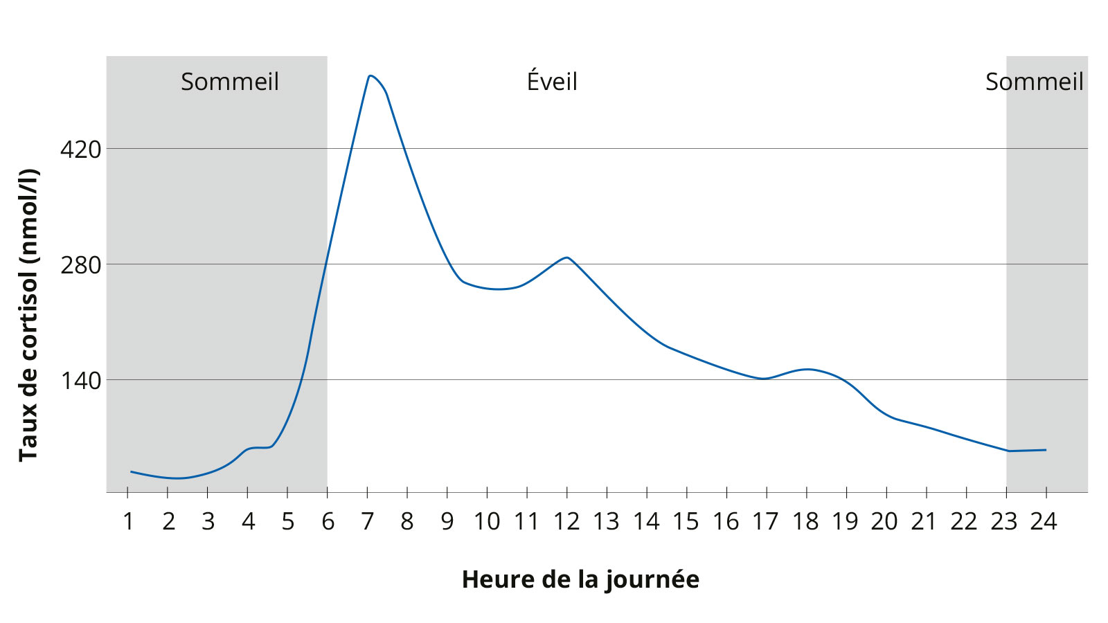 Graphique illustrant les variations quotidiennes du taux de cortisol
