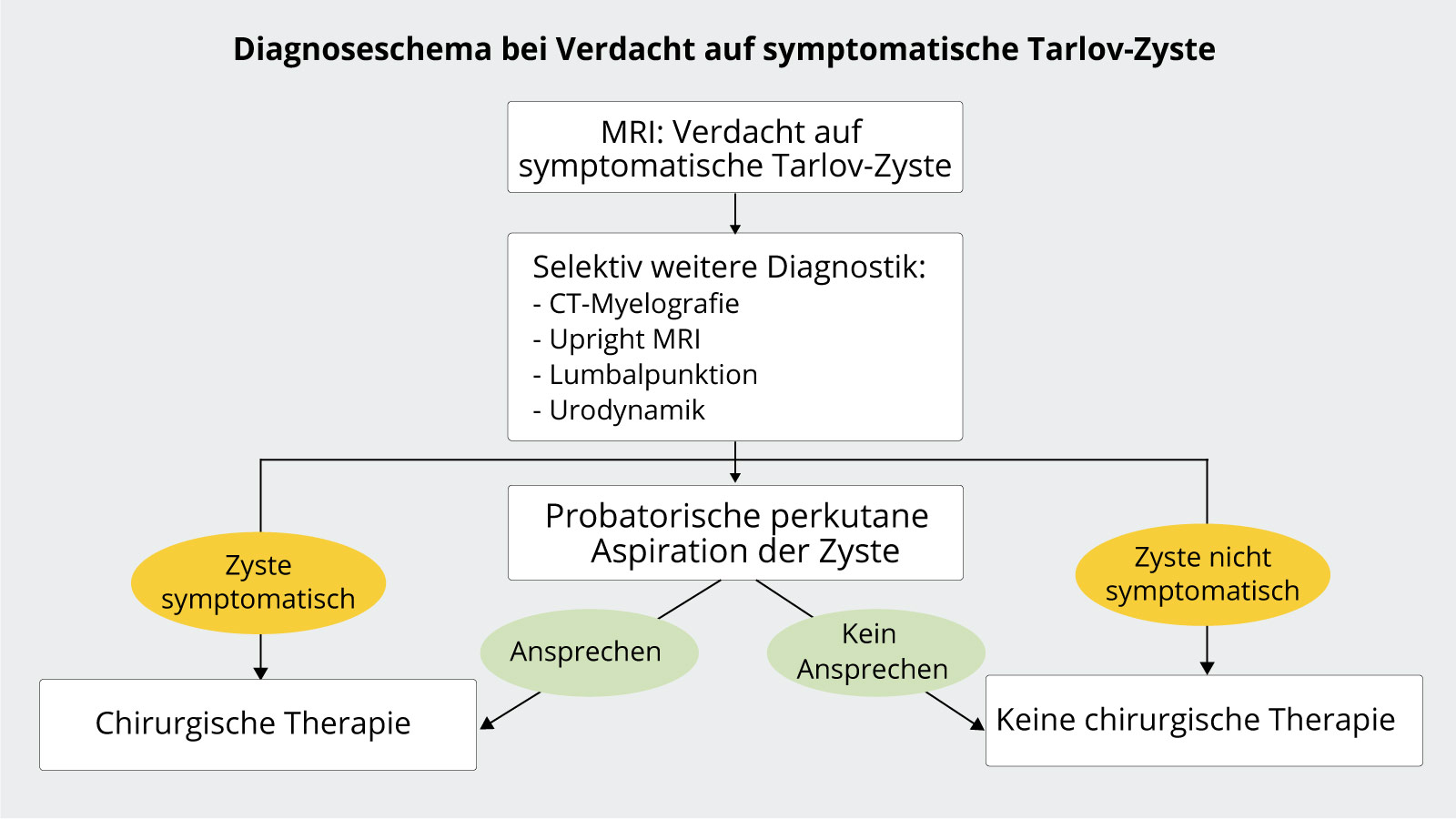 Diagnoseschema bei symptomatischen Tarlov-Zysten